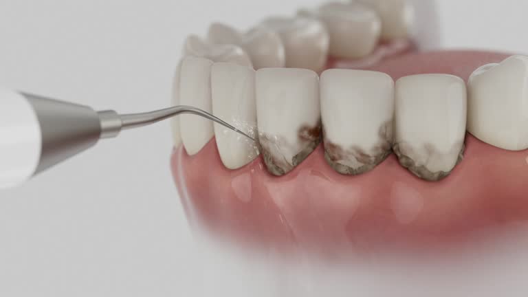 Reliable Dental contractor in Williams, AZ by Dentist Open Now